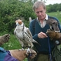 Birds of Prey Experiences in Gloucestershire
